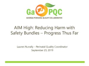 AIM-High-Reducing-Harm-with-Safety-Bundles-Progress-Thus-Far-pdf-300x225